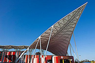 并非二线作品 任天堂将《皮克敏》系列视为旗舰IP